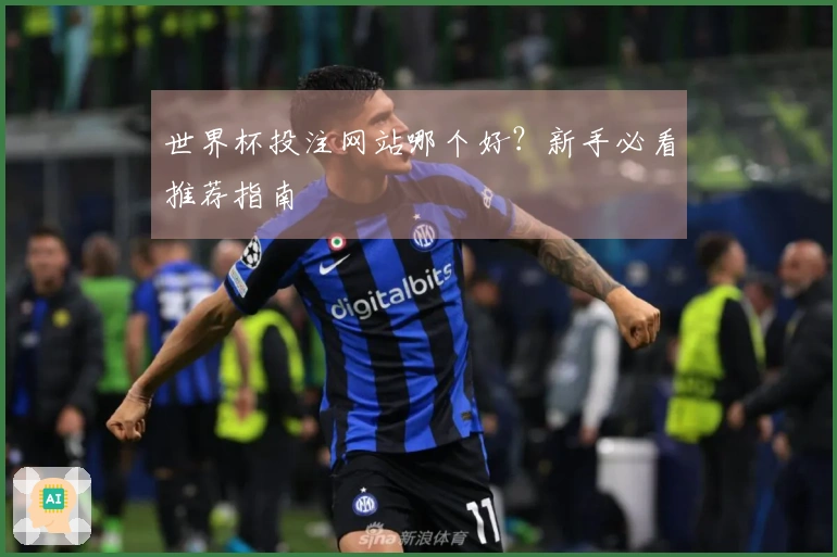世界杯投注网站哪个好？新手必看推荐指南