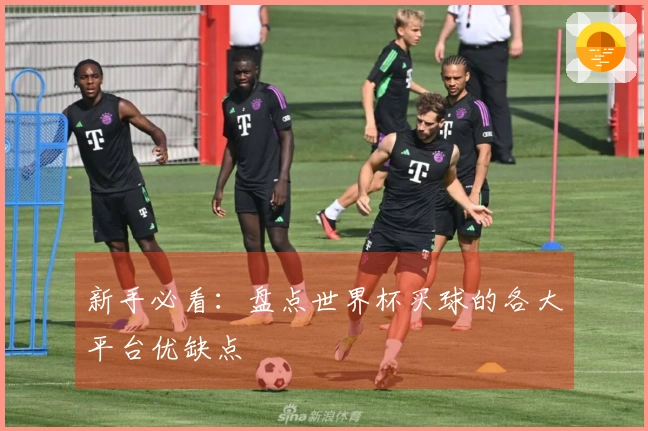 新手必看：盘点世界杯买球的各大平台优缺点