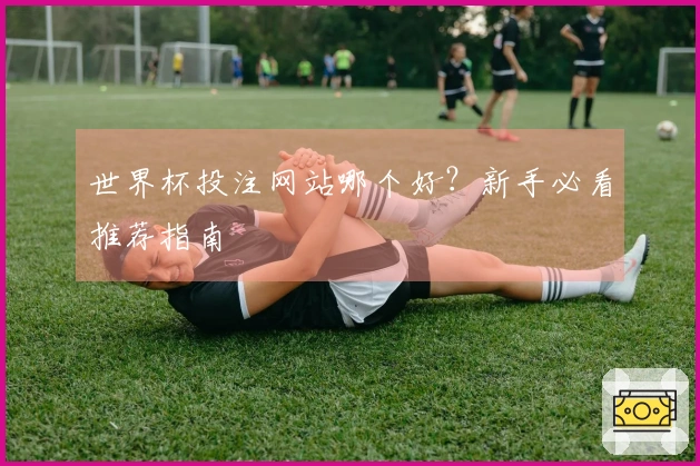 世界杯投注网站哪个好？新手必看推荐指南